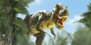 The Biggest Dinosaur