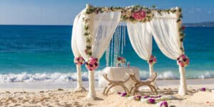 Wedding Party in the Water