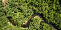 News in Levels | People from a rainforest