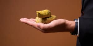 Poo Museum in England