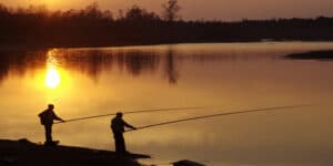A Lake Is Full of Fish Again