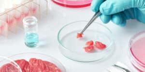 Scientists Make Meat