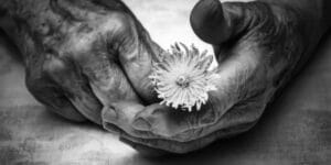 World s oldest woman dies