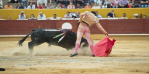 French bullfighters worry