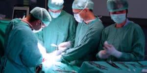 Pig hearts for people