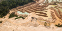 Gold mining has an impact on animals