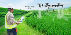 AI drones help farmers and the planet