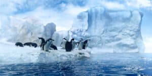 Antarctica s ice is record low