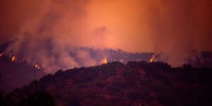 LA fires
