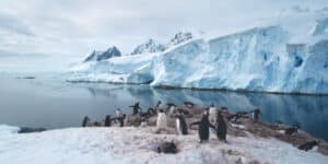The future of Antarctica