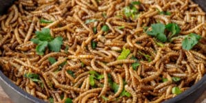Eating insects in the EU