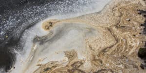 Big oil company hurts nature