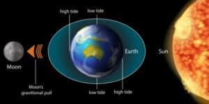 Why there are two tides a day