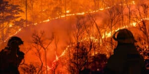 New houses stop wildfires