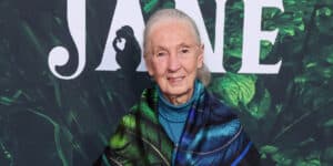 Jane Goodall dies