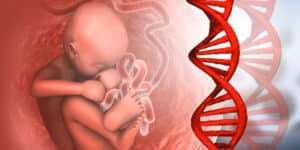 Genetically edited babies